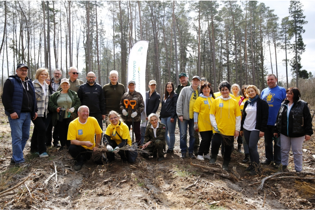 Sadzenie lasów z Nadleśnictwem Wejherowo