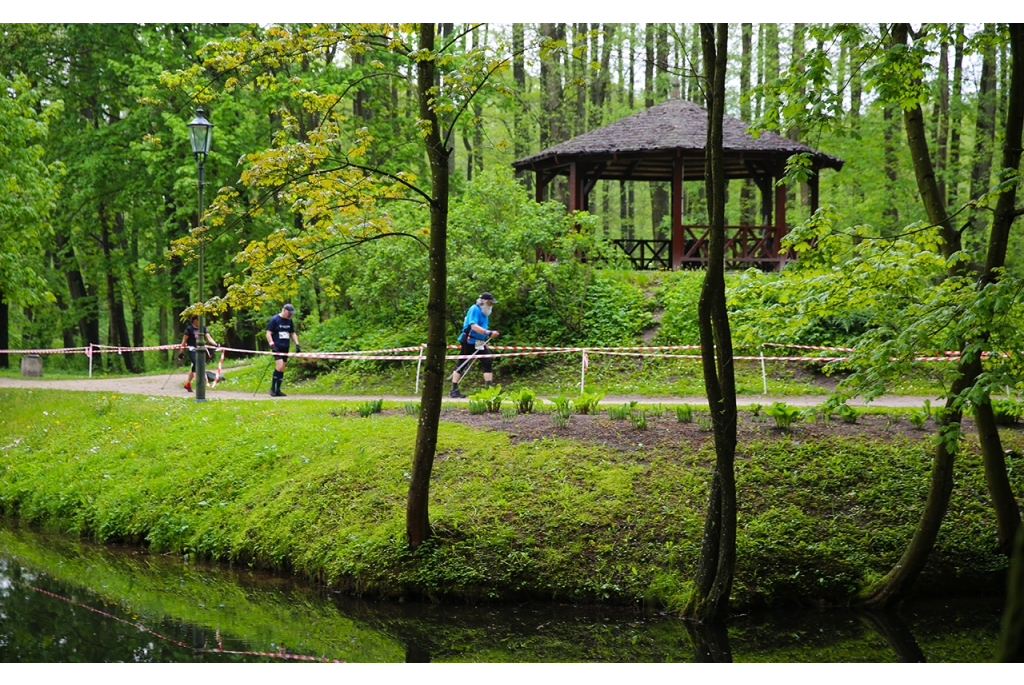 Puchar Polski Nordic Walking