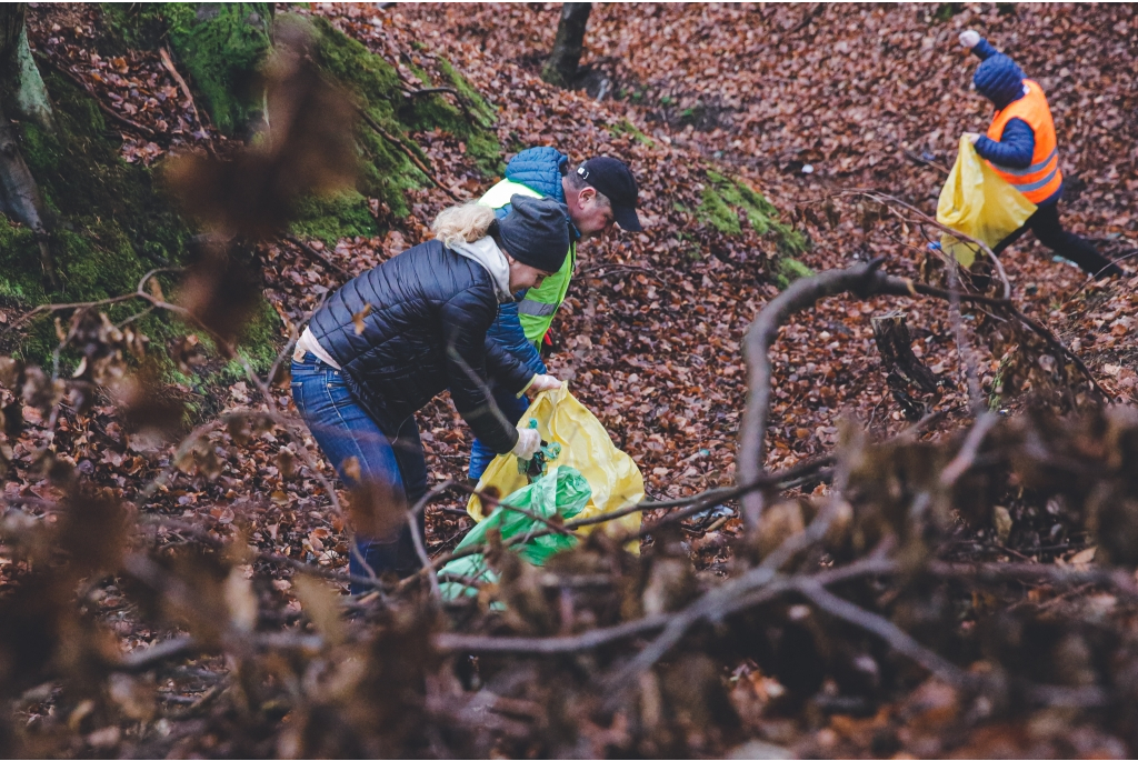 Miasto włączyło się do akcji Forest Challenge