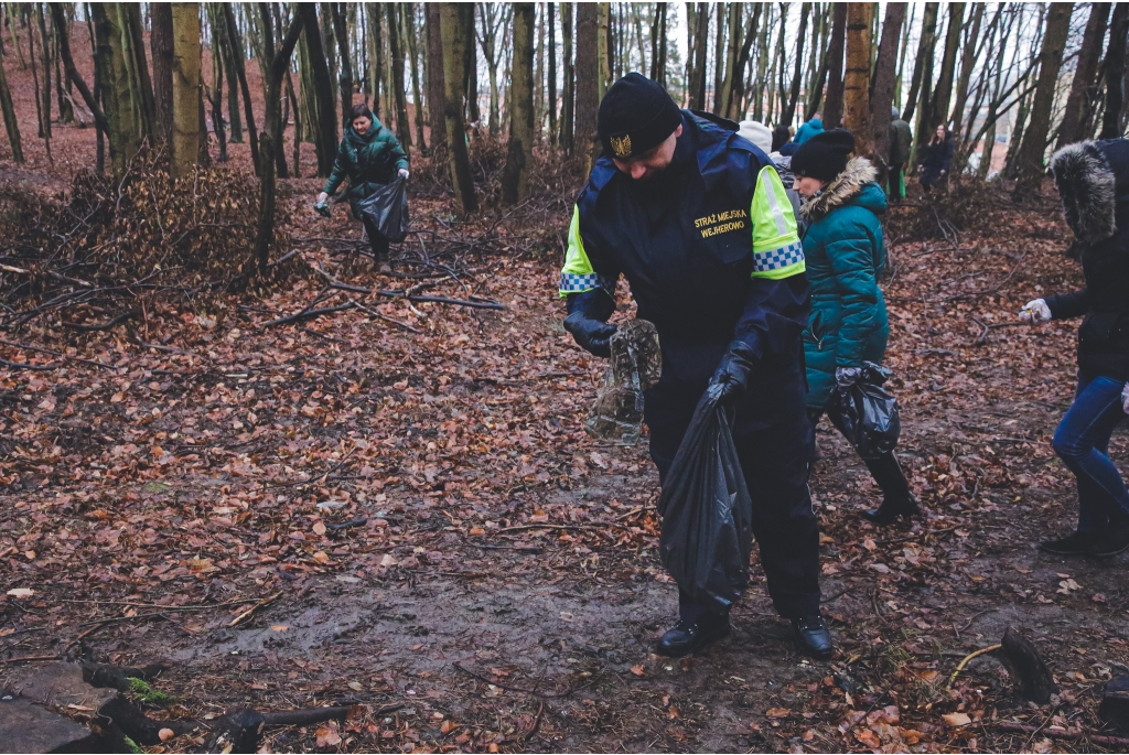 Miasto włączyło się do akcji Forest Challenge