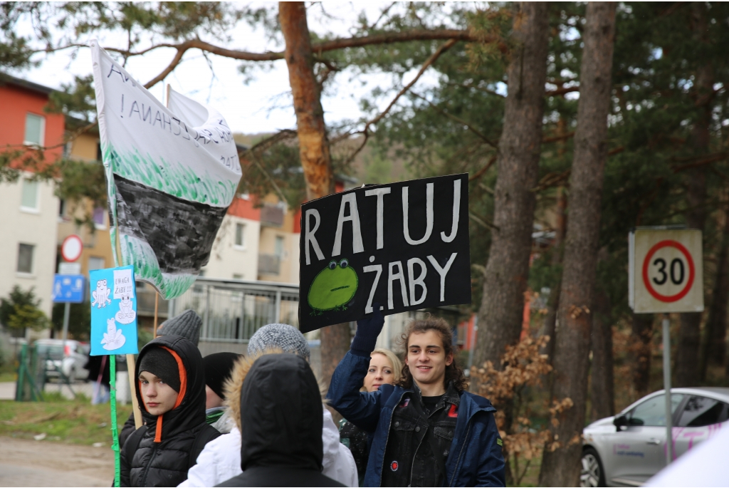 Uczniowie pomogli chronić żaby i inne płazy