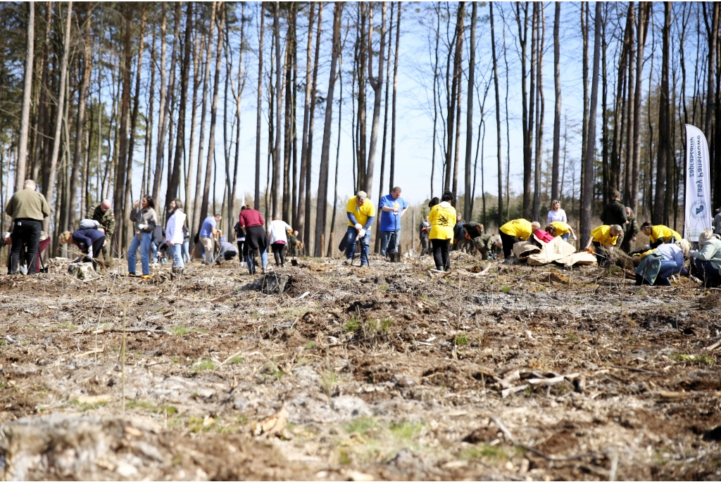 Sadzenie lasów z Nadleśnictwem Wejherowo