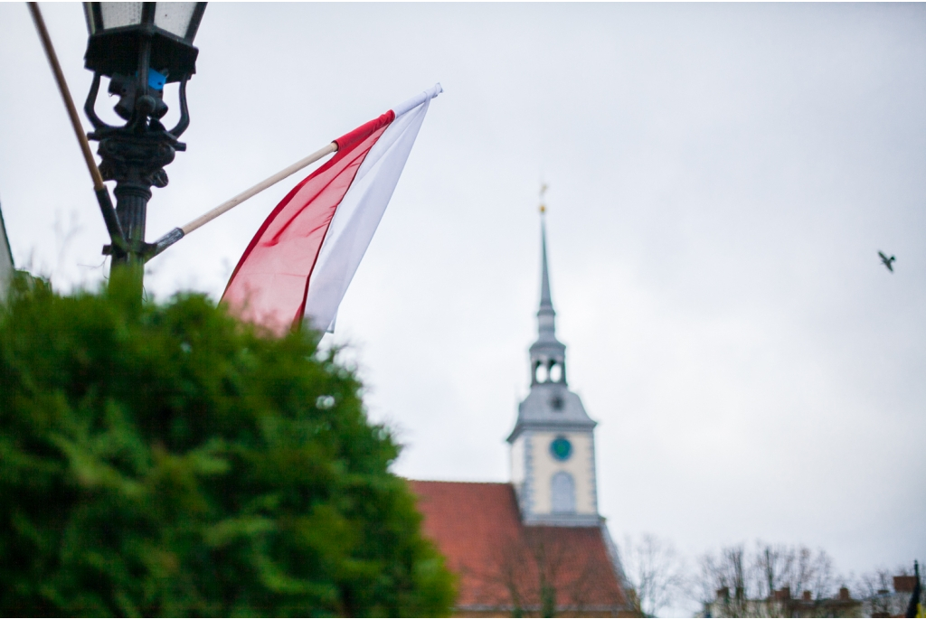 Biało-czerwona parada niepodległościowa  - 11.11.2015