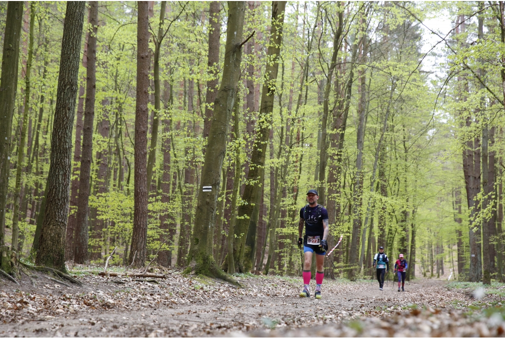 XV Mistrzostwa Polski Nordic Walking
