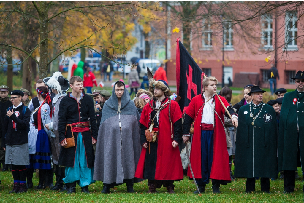 Biało-czerwona parada niepodległościowa  - 11.11.2015