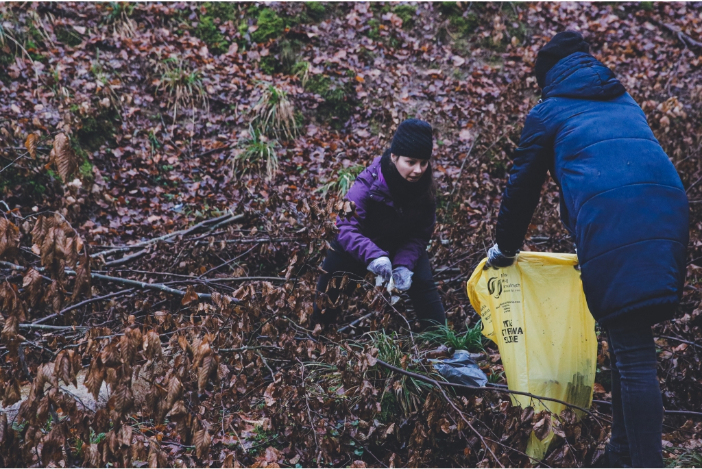 Miasto włączyło się do akcji Forest Challenge