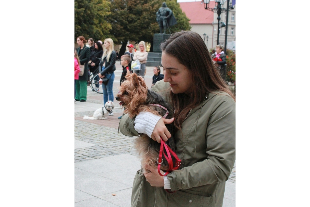 Wyświęcenie zwierząt domowych przy figurze św. Franciszka