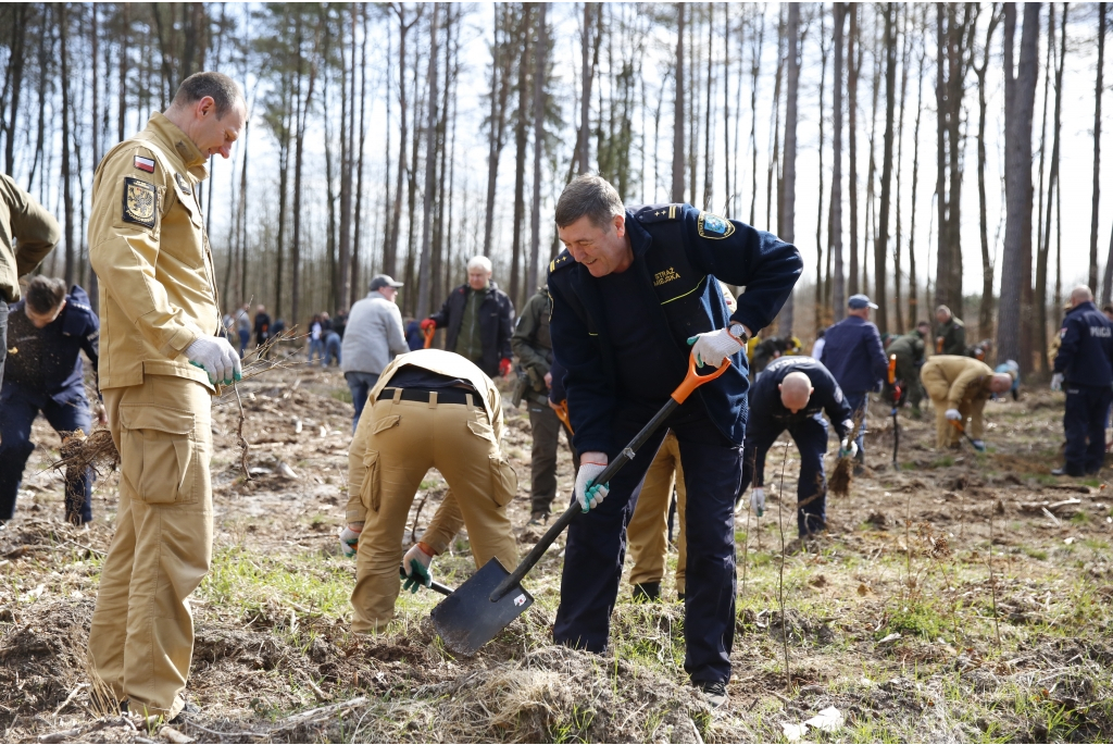 Sadzenie lasów z Nadleśnictwem Wejherowo
