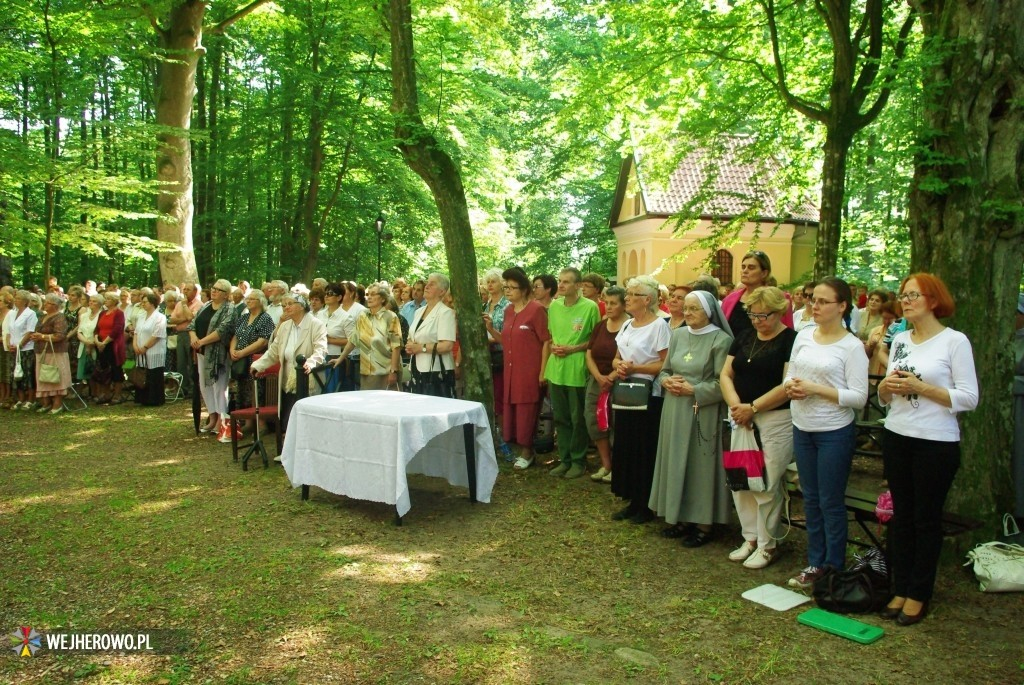 Odpust Uzdrowienia Chorych w Wejherowie - 06.07.2014