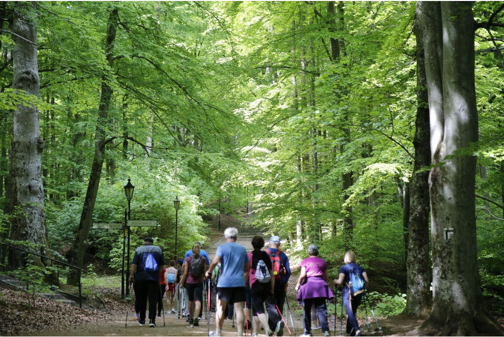 Jakubowy Marsz Nordic Walking