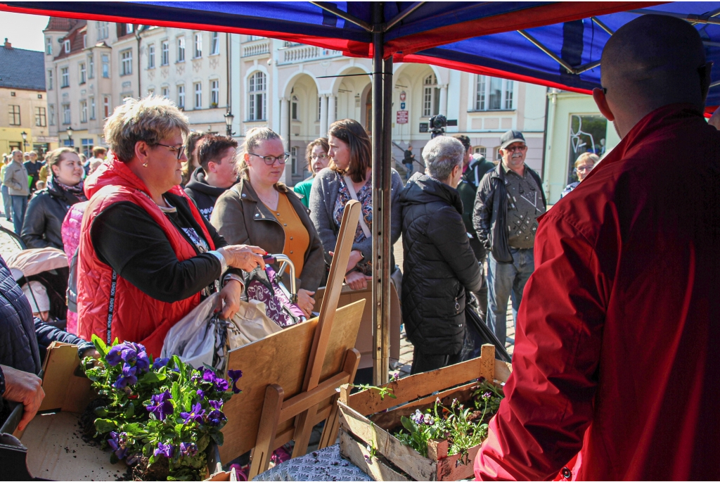 Akcja „Przygarnij Bratka”