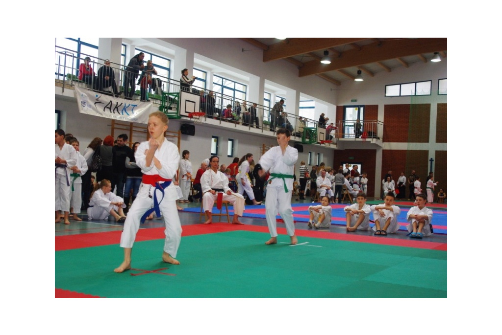 Pomorski Turniej Karate Tradycyjnego w Wejherowie - 10.03.2013