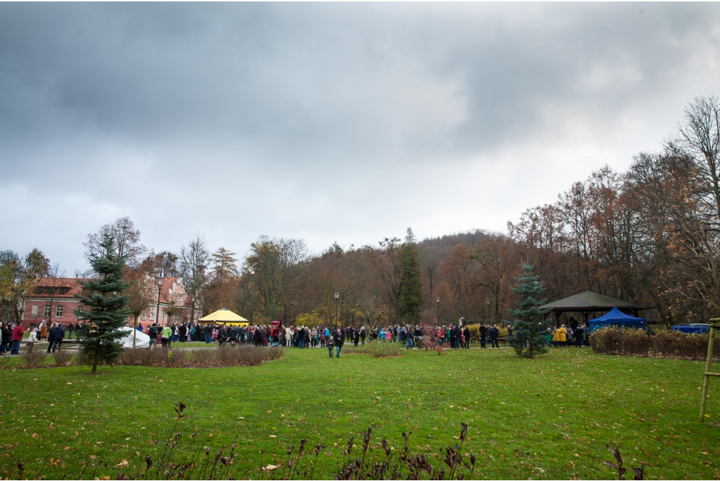 Biało-czerwona parada niepodległościowa  - 11.11.2015