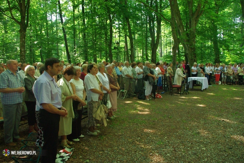 Odpust Uzdrowienia Chorych w Wejherowie - 06.07.2014