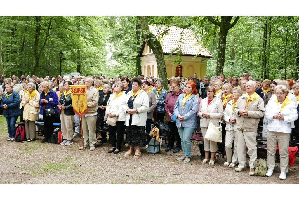 Odpust Uzdrowienia Chorych w Wejherowie