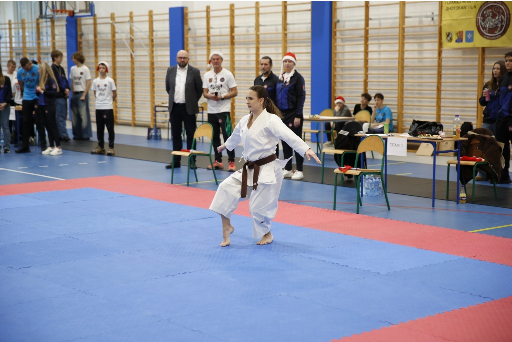 Mikołajkowy Turniej Karate Shotokan