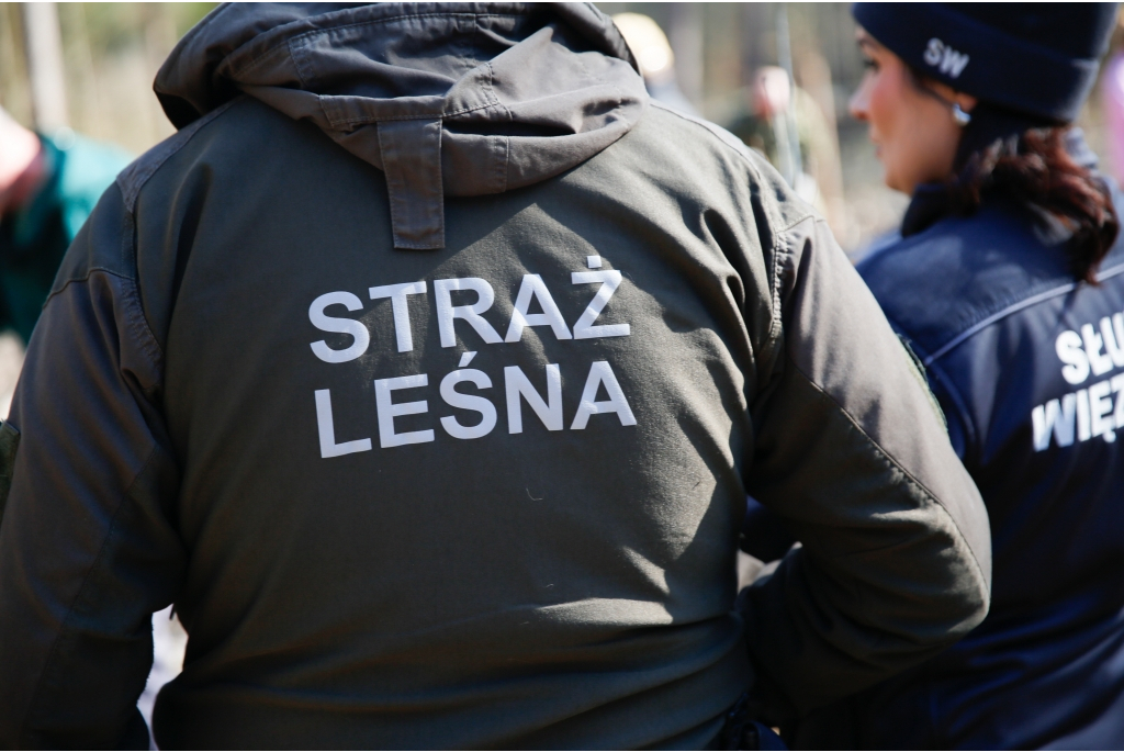 Akcja - Lasy na nowe 100-lecie