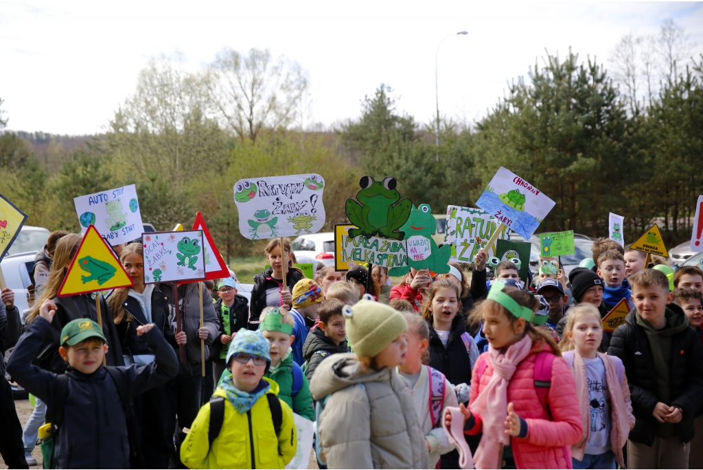 Akcja Ratujmy Żaby SP 5