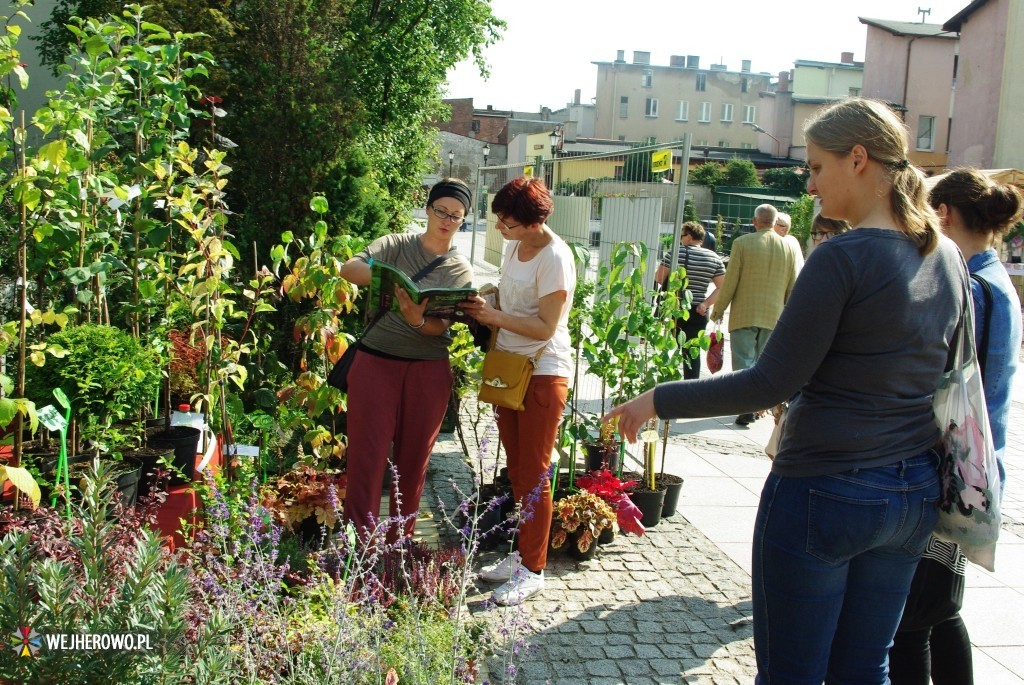 Happening Stragany Art - 13.09.2014