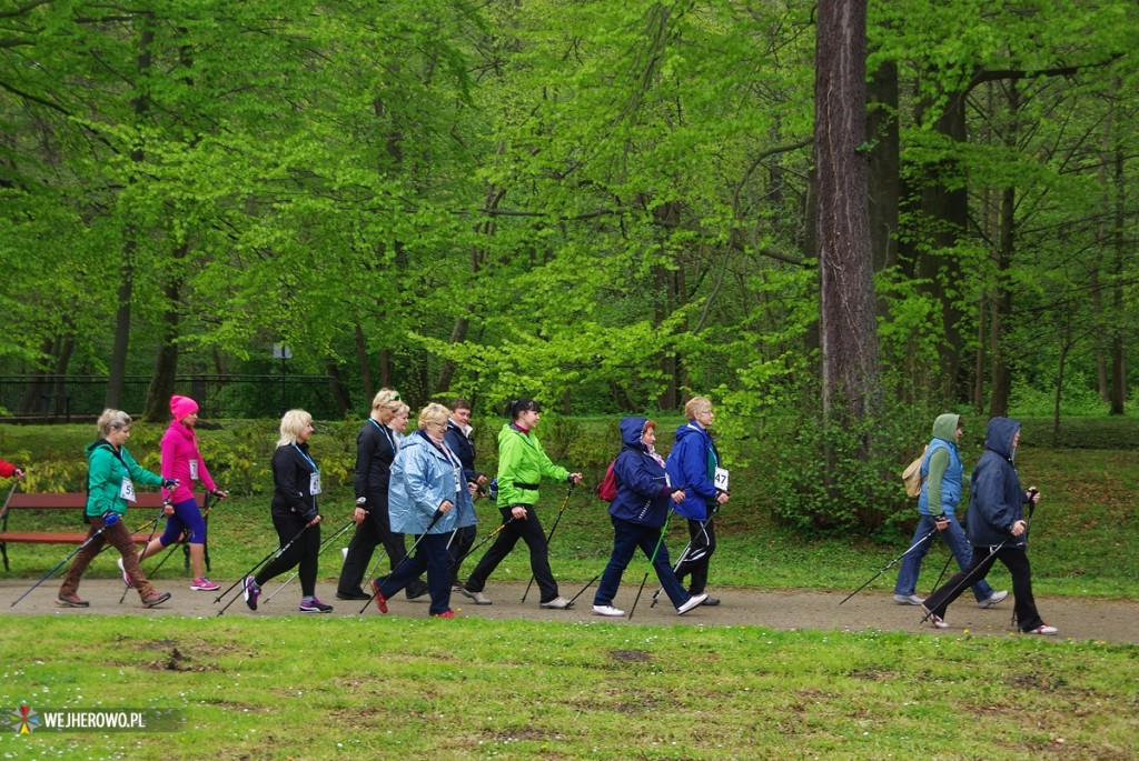 Rajd Nordic Walking w parku - 10.05.2014