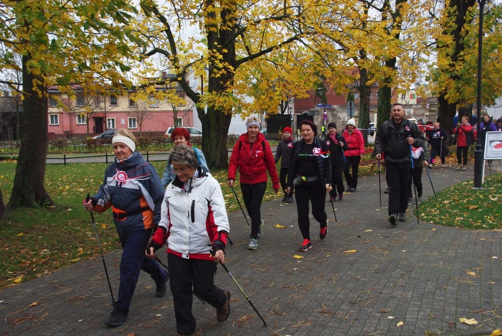 II Niepodległościowy Marsz Nordic Walking - 11.11.2015