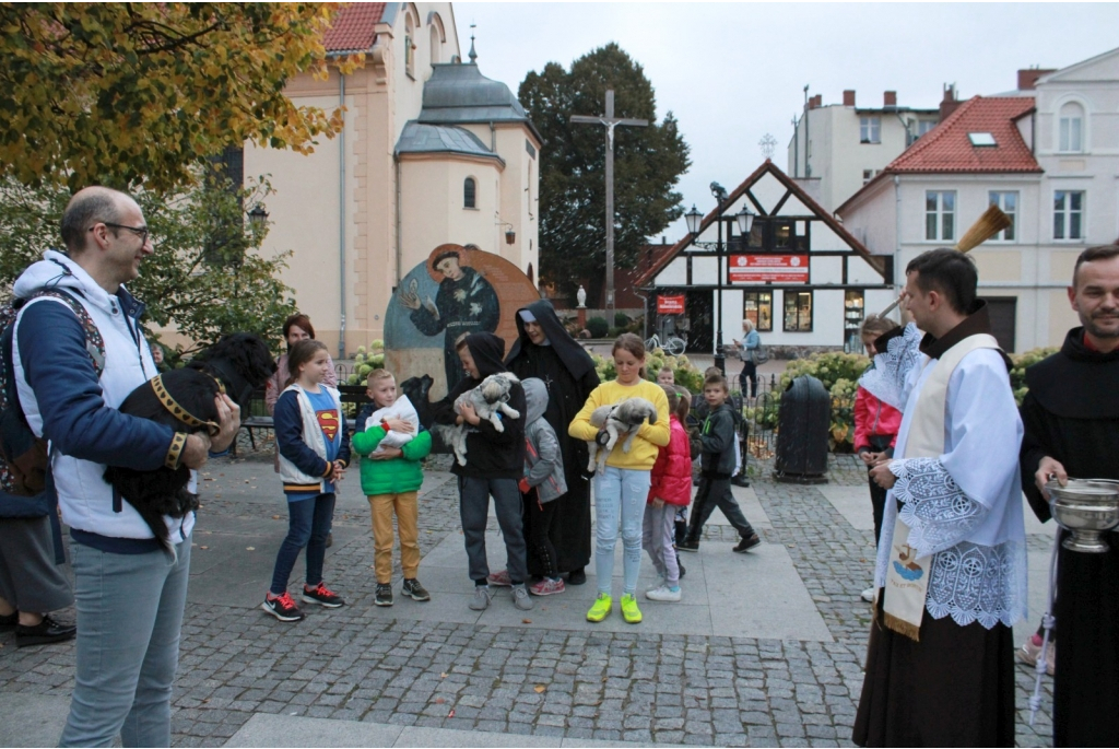 Wyświęcenie zwierząt domowych przy figurze św. Franciszka