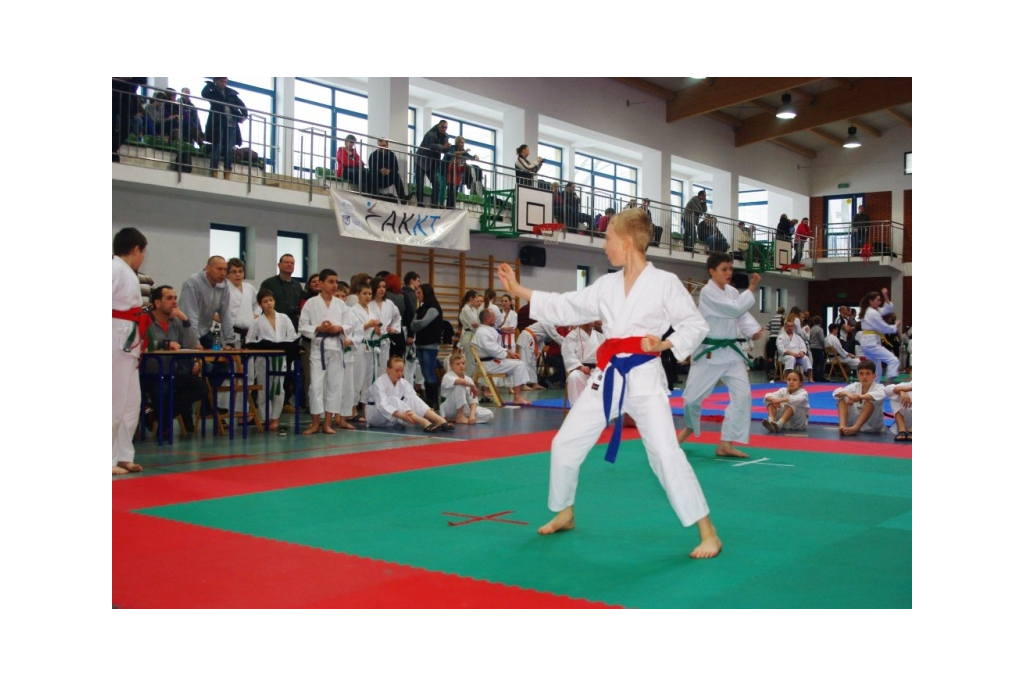 Pomorski Turniej Karate Tradycyjnego w Wejherowie - 10.03.2013