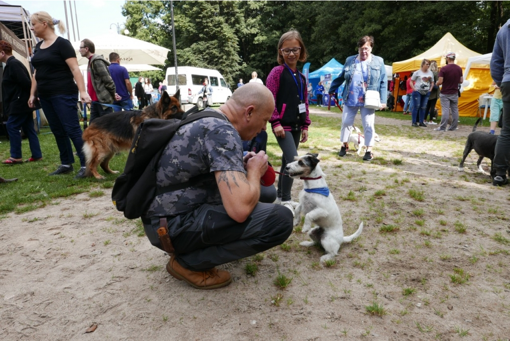 Spotkanie właścicieli zwierząt