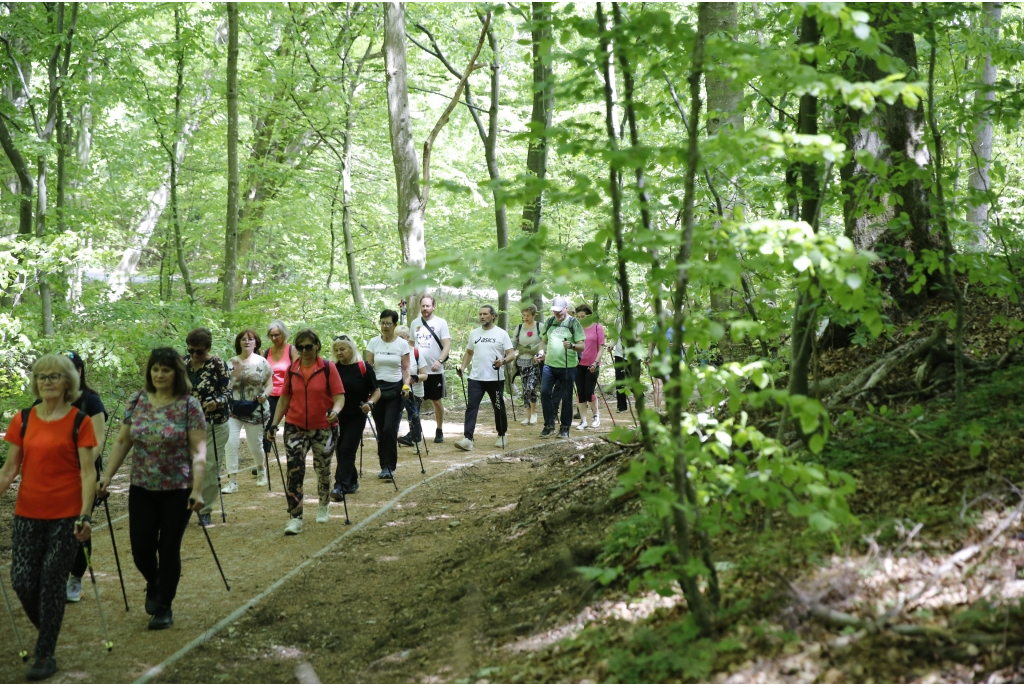 Jakubowy Marsz Nordic Walking