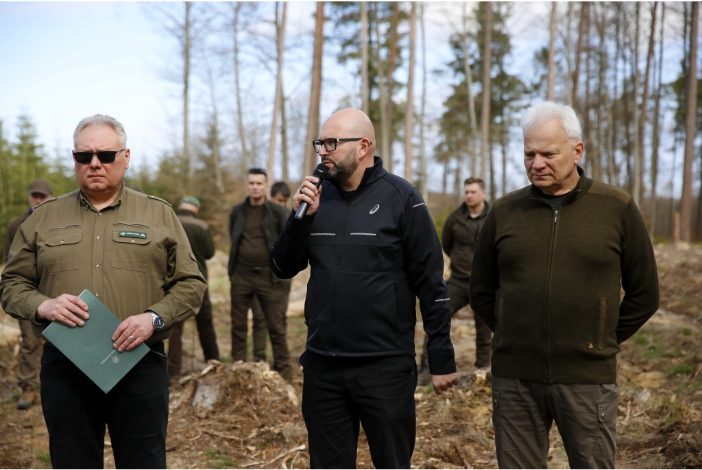 Sadzenie lasów z Nadleśnictwem Wejherowo