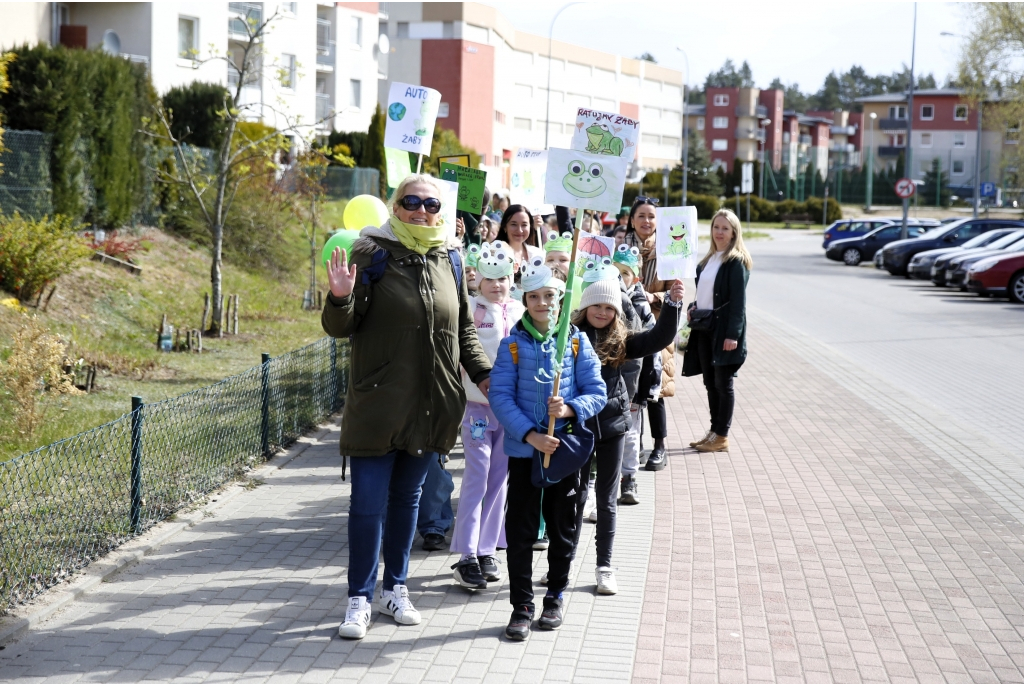 Akcja Ratujmy Żaby SP 5