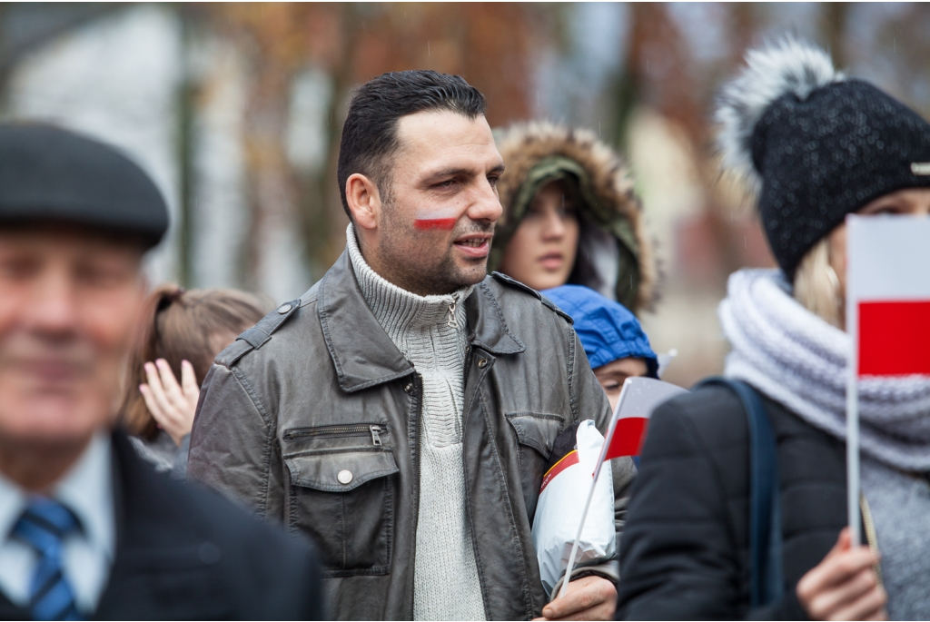 Biało-czerwona parada niepodległościowa  - 11.11.2015