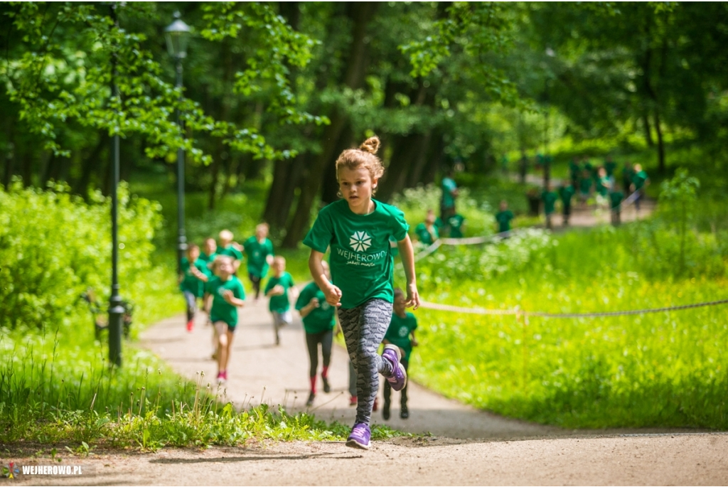 Wejherowo Biega 2016