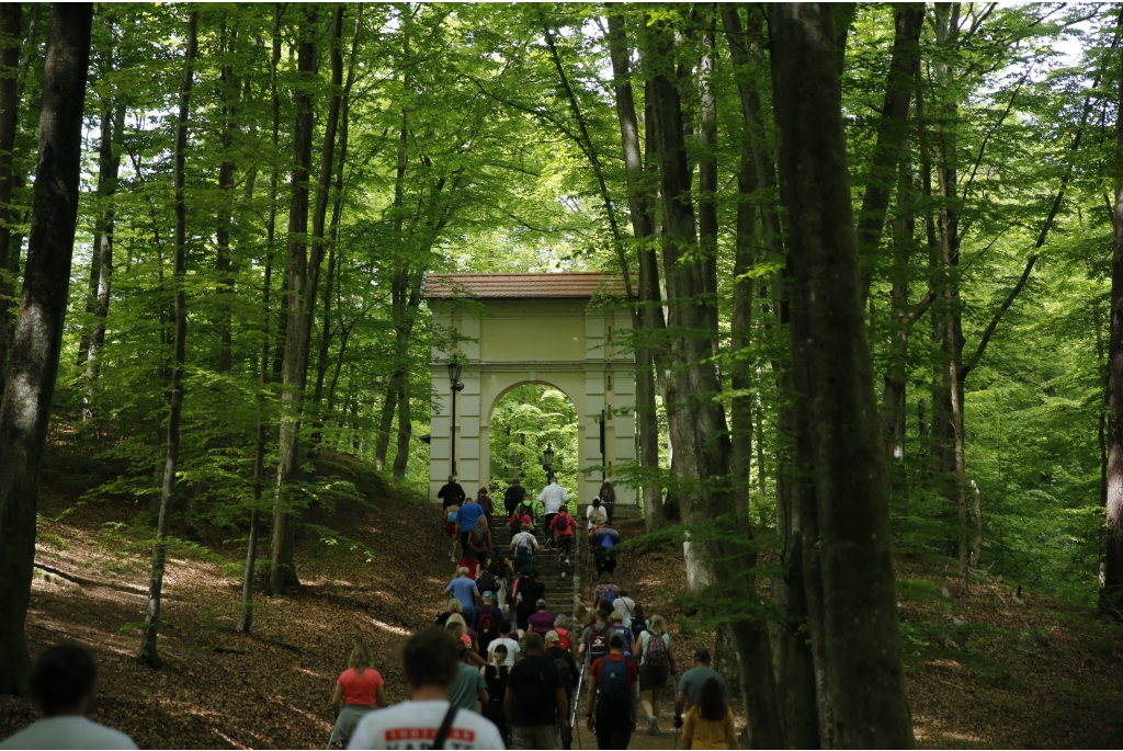 Jakubowy Marsz Nordic Walking