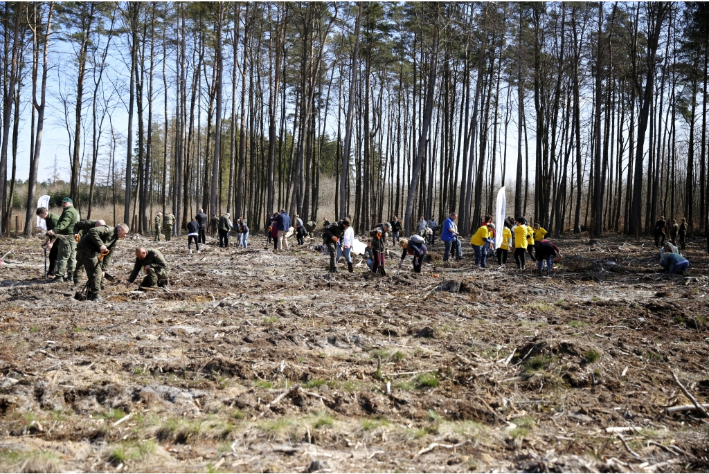 Sadzenie lasów z Nadleśnictwem Wejherowo
