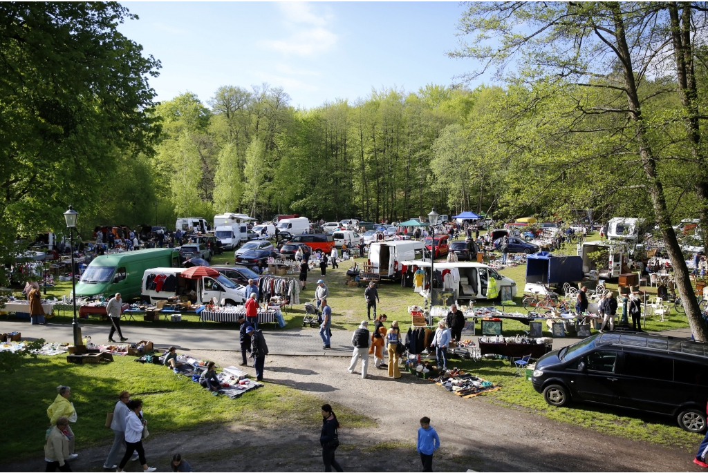 Pchli Targ 17.05.2026
