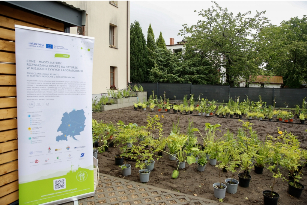 Realizacja pilotażu w ramach Projektu CONE