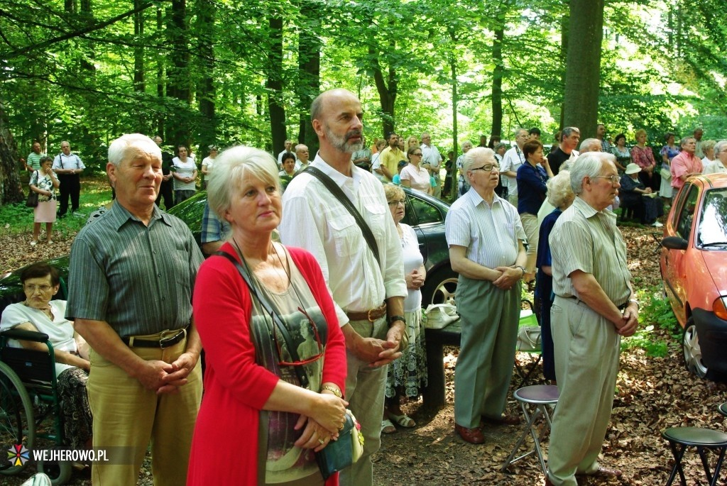 Odpust Uzdrowienia Chorych w Wejherowie - 06.07.2014