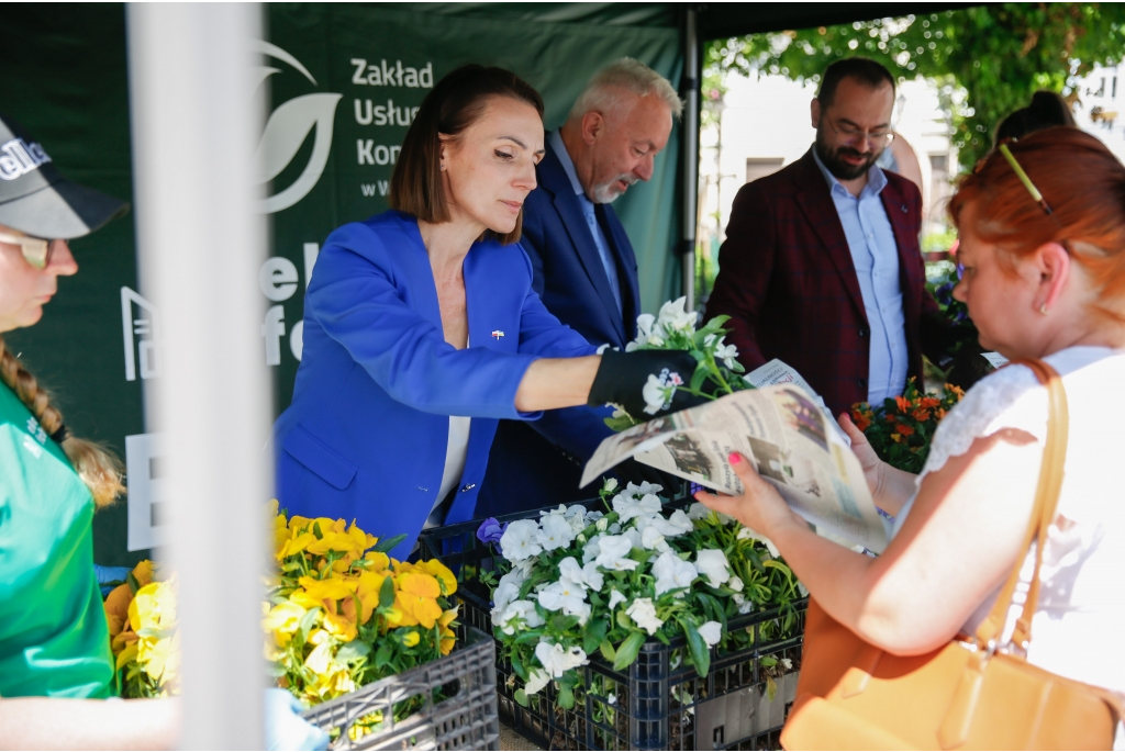 Przygarnij bratka na Placu Jakuba Wejhera