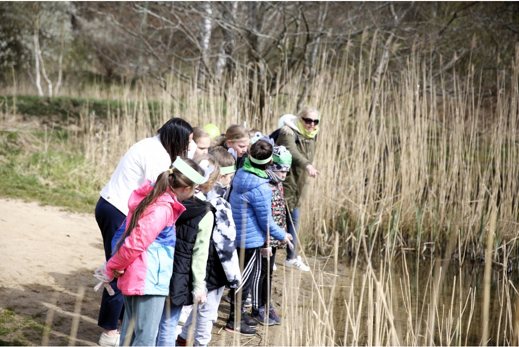 Akcja Ratujmy Żaby SP 5
