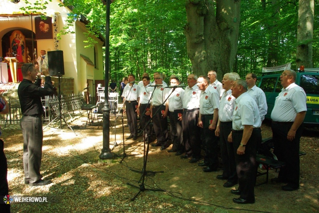 Odpust Uzdrowienia Chorych w Wejherowie - 06.07.2014