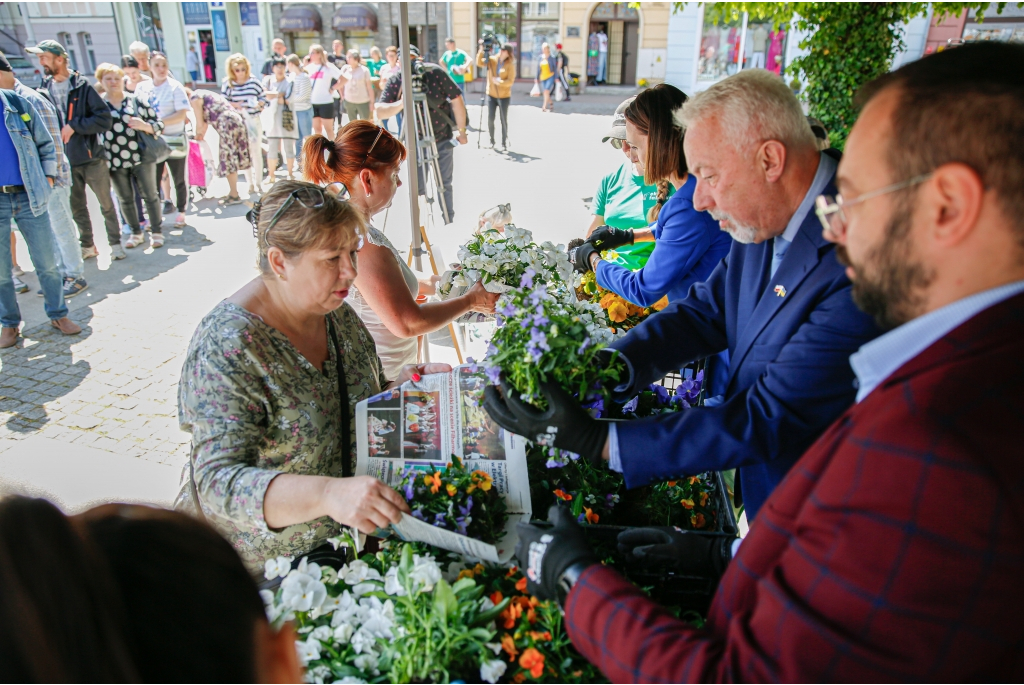 Przygarnij bratka na Placu Jakuba Wejhera