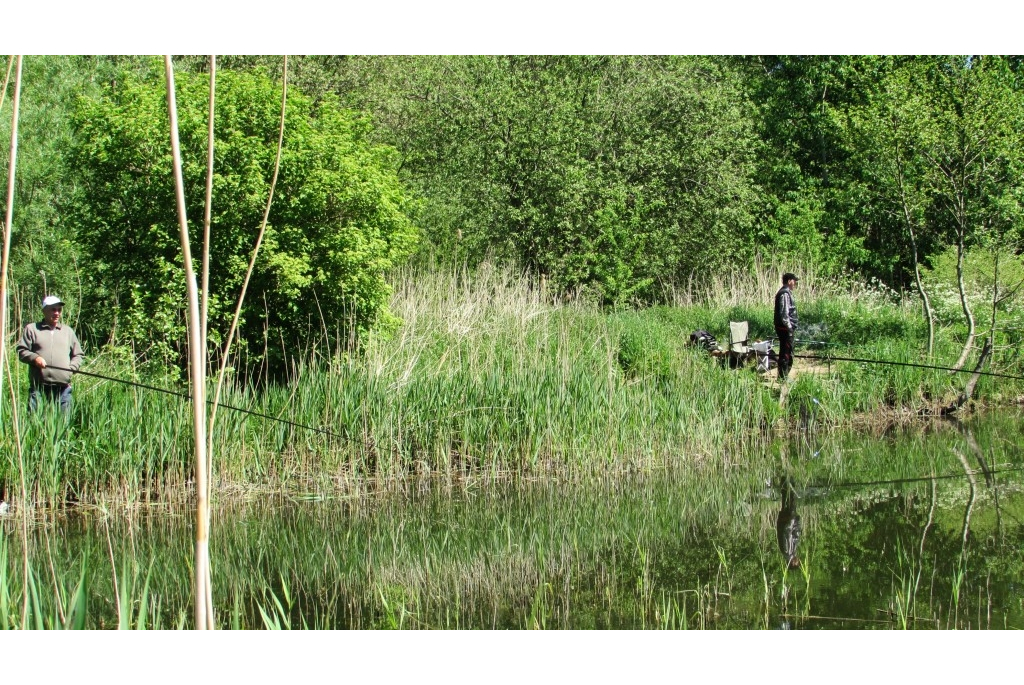 Piknik Literacki na Jakubowej Polanie