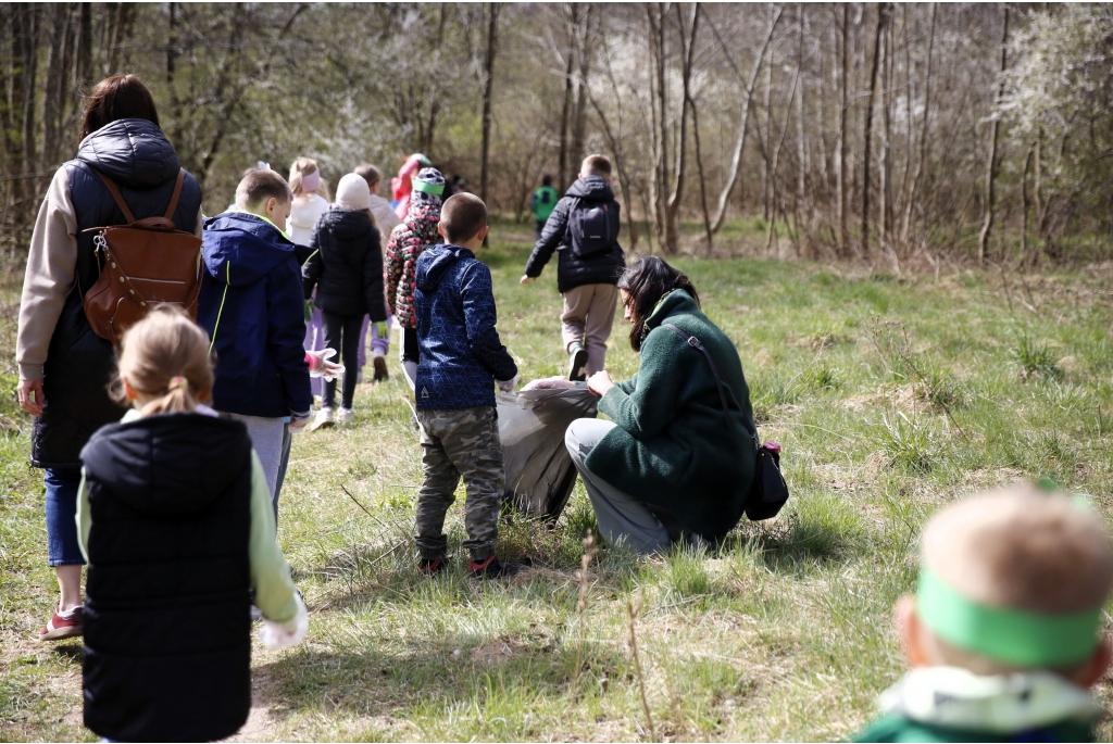 Akcja Ratujmy Żaby SP 5