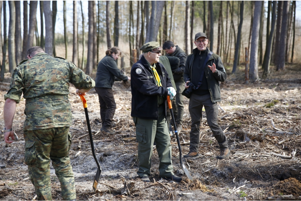 Sadzenie lasów z Nadleśnictwem Wejherowo