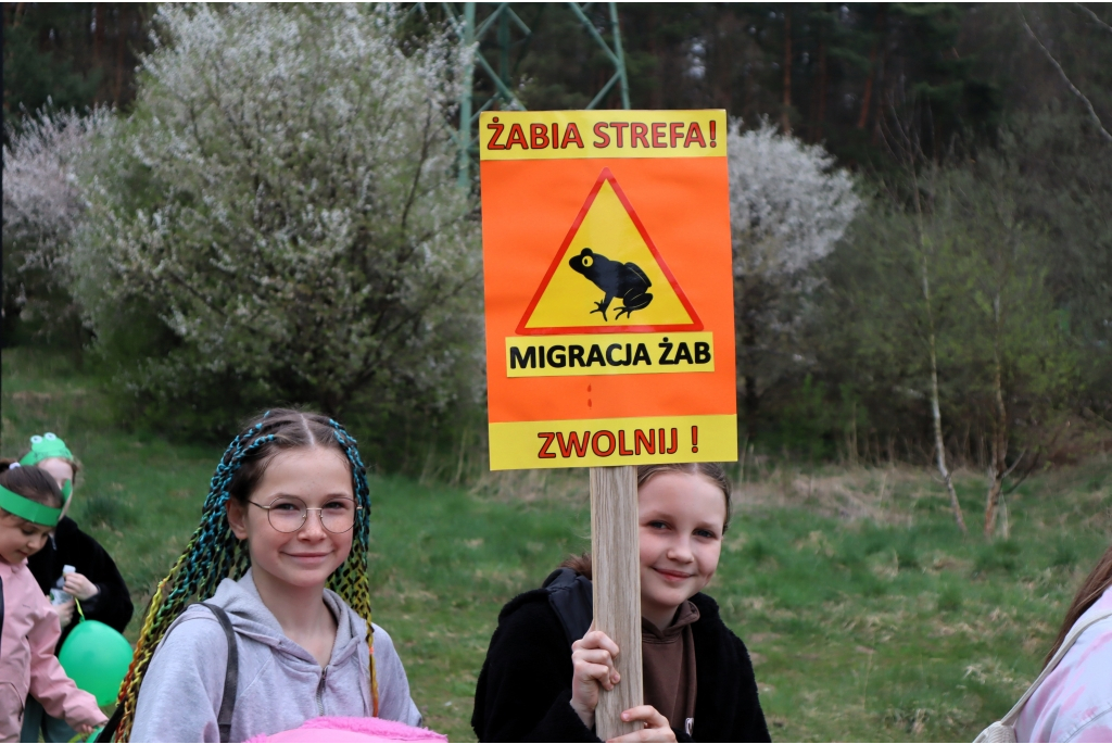 Ratujmy żaby!