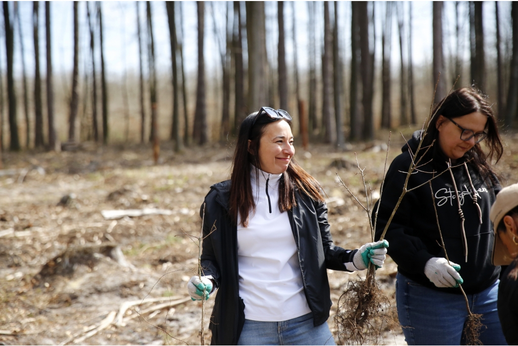 Sadzenie lasów z Nadleśnictwem Wejherowo