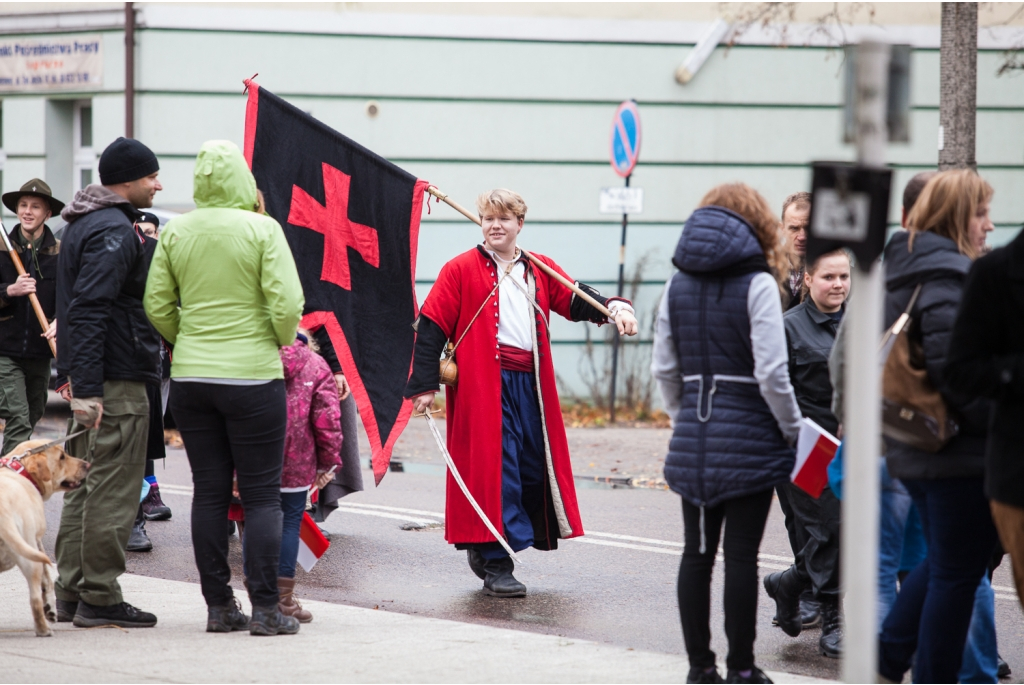 Biało-czerwona parada niepodległościowa  - 11.11.2015