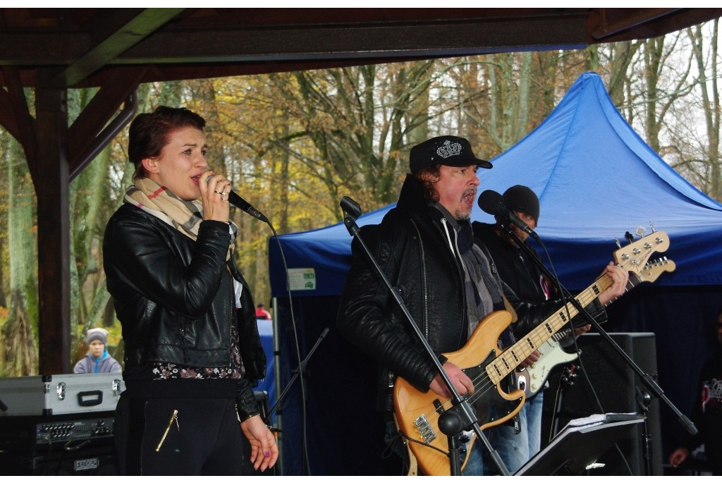 Biało-czerwona parada niepodległościowa  - 11.11.2015