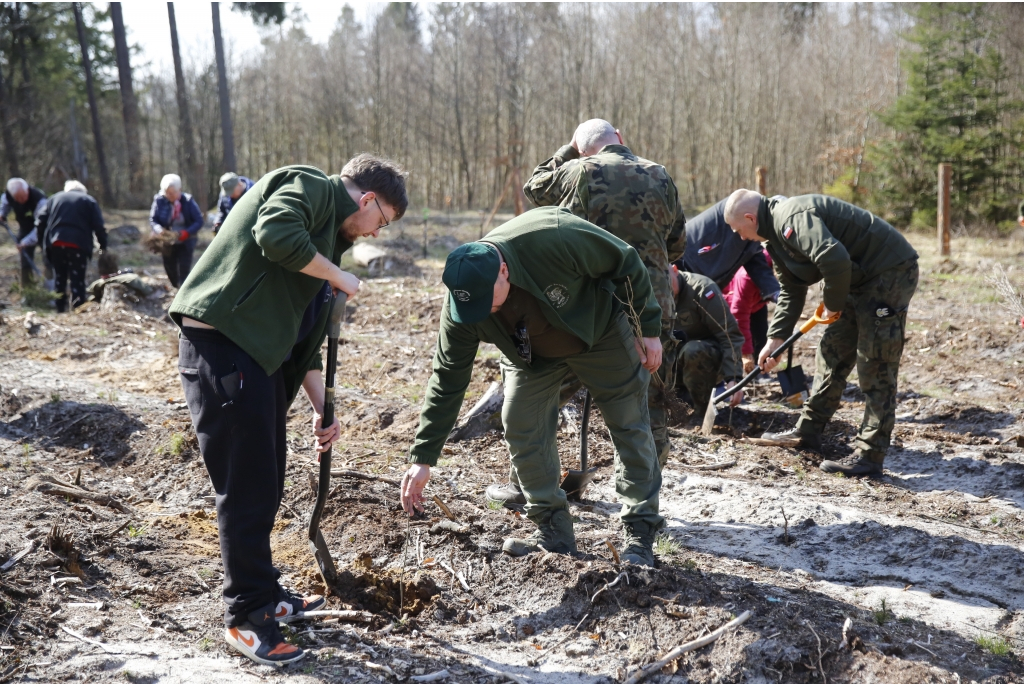 Sadzenie lasów z Nadleśnictwem Wejherowo